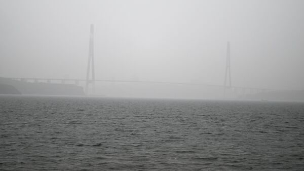 Русский мост через пролив Босфор Восточный во Владивостоке