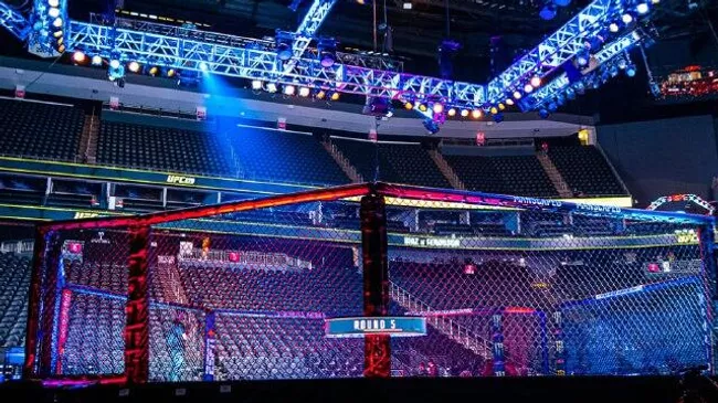 Октагон UFC