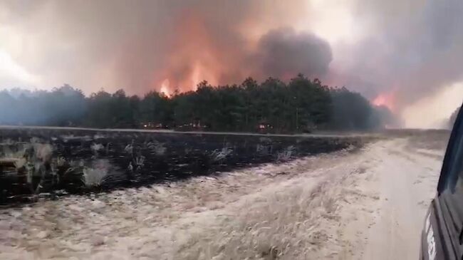 Пожар в заповеднике на полуострове Кинбурнская коса