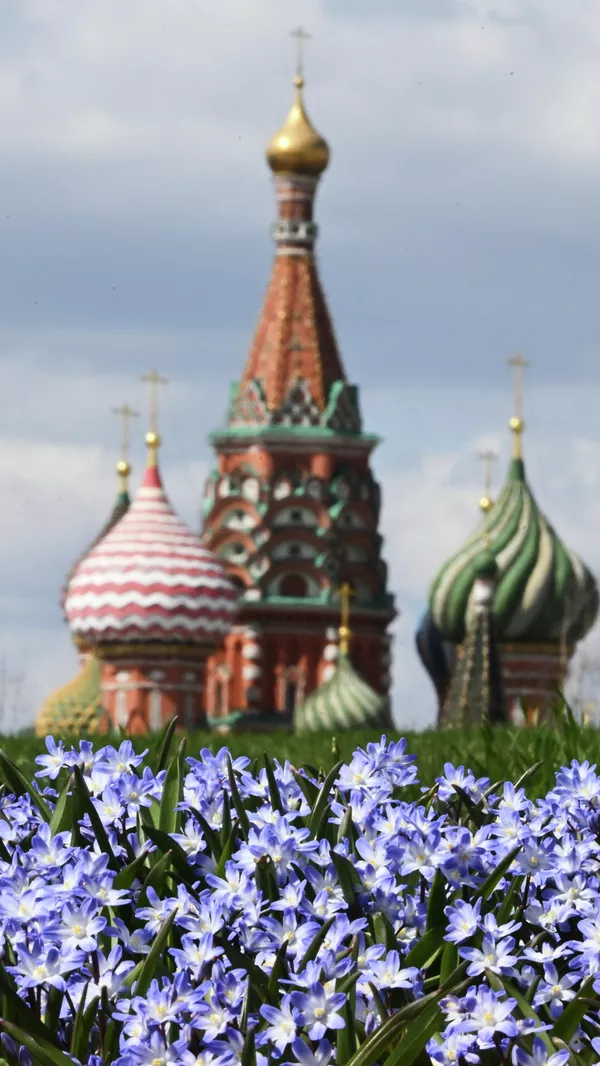 Проект Волны цветения в парке Зарядье Проект Волны цветения в парке Зарядье