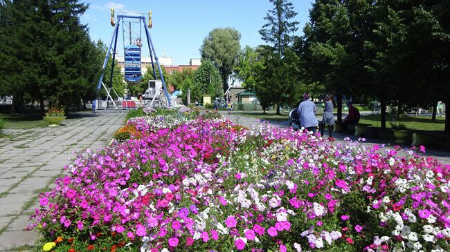 Цветы и аттракционы в городском саду