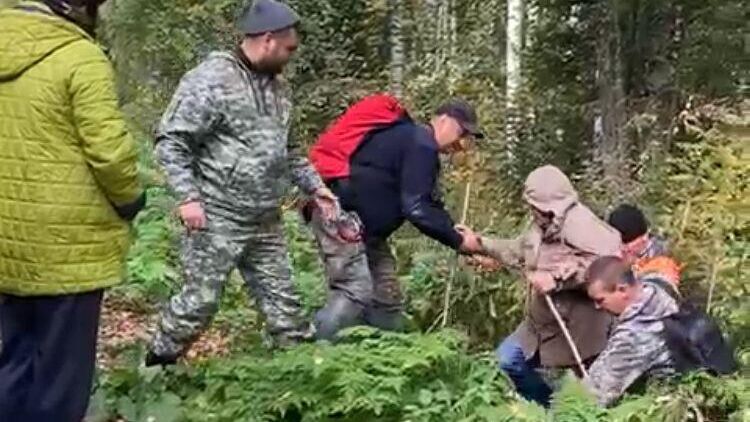 В Кемеровской области найдена 72-летняя пенсионерка, пропавшая при сборе грибов - РИА Новости, 1920, 12.09.2022