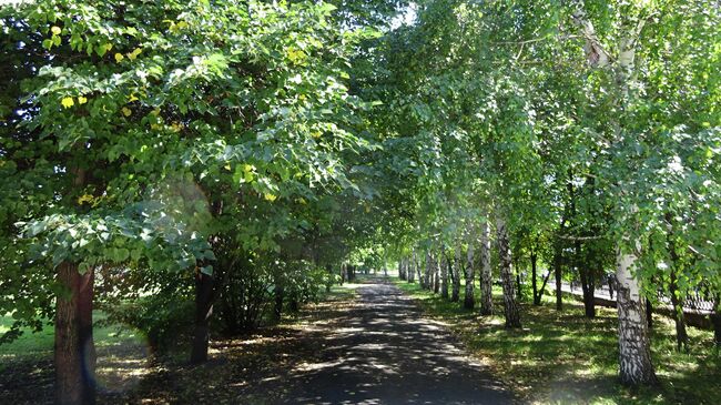 Городской сад