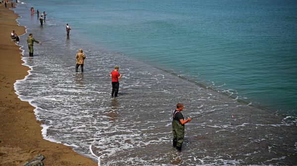 Рыбаки ловят горбушу неподалеку от села Охотское на Сахалине