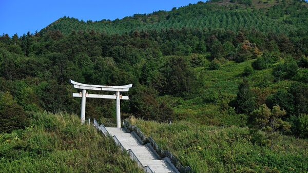 Тории (символические ворота) синтоистского храма Хигаси Сираура дзиндзя на склоне сопки в поселке Взморье на Сахалине