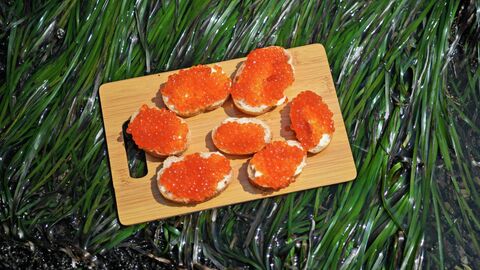 Бутерброды с сахалинской красной икрой