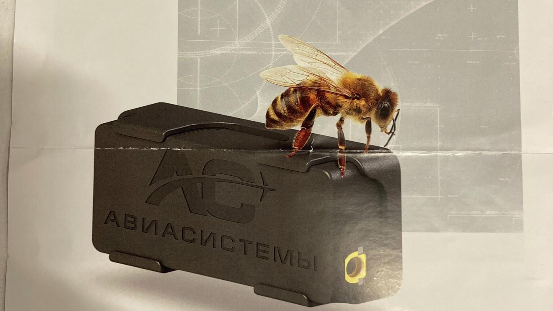 Малогабаритный радиопередатчик ADS-Bee для оснащения легких беспилотников - РИА Новости, 1920, 15.09.2022