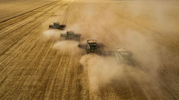 Россию ждет хороший урожай зерна, заявил Путин