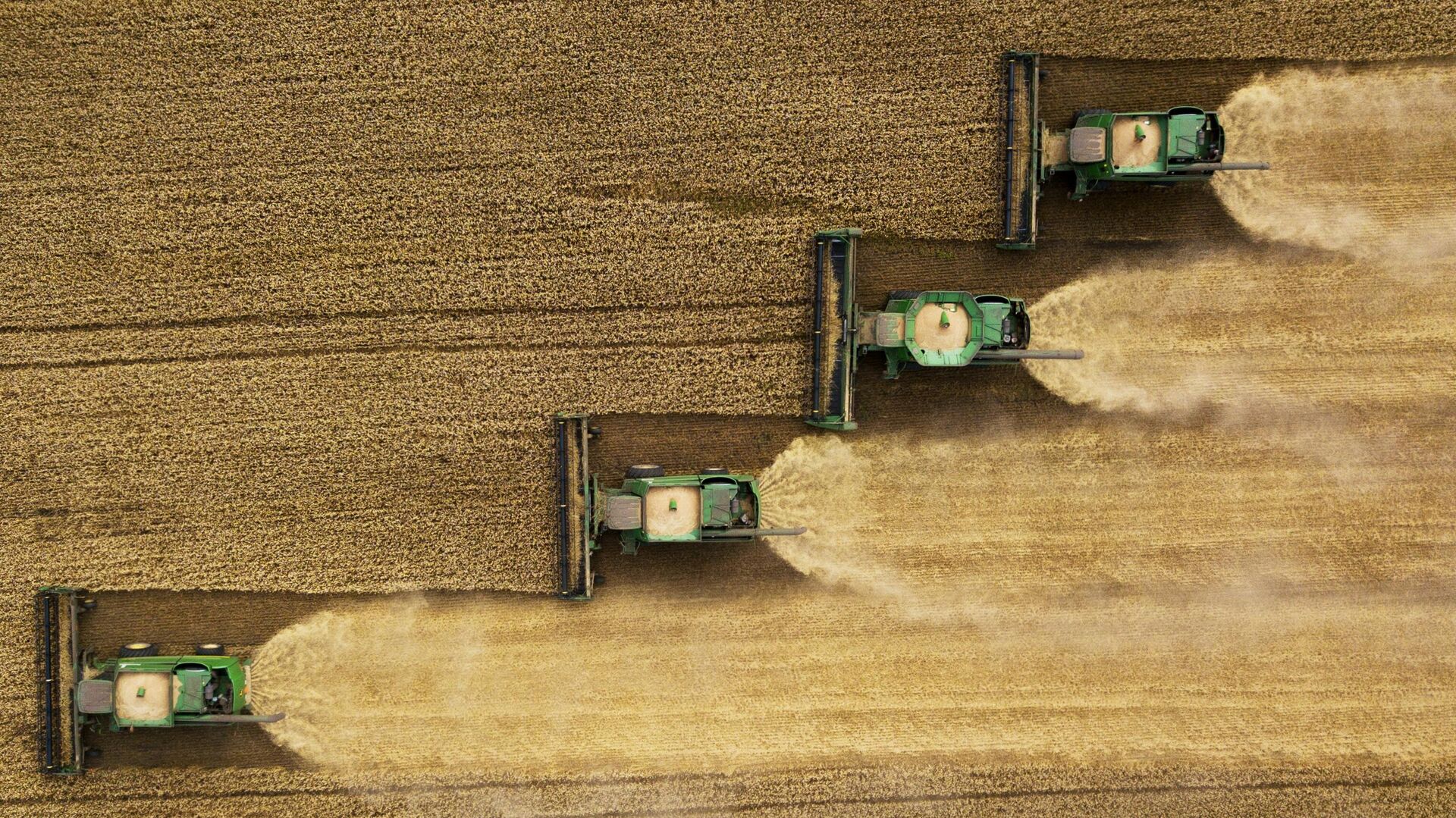 Комбайны во время уборки урожая пшеницы в Новосибирской области - РИА Новости, 1920, 26.09.2023
