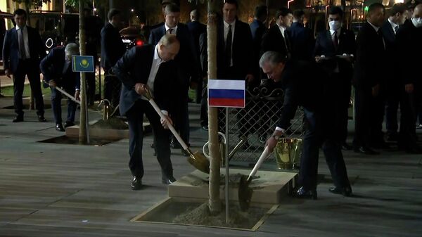 Путин и лидеры стран-участниц ШОС сажают деревья в Самарканде 