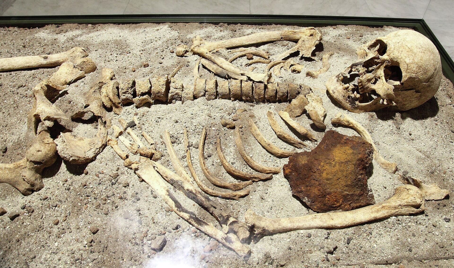 Скелет возрастом 800 лет, найденный в Болгарии - РИА Новости, 1920, 16.09.2022