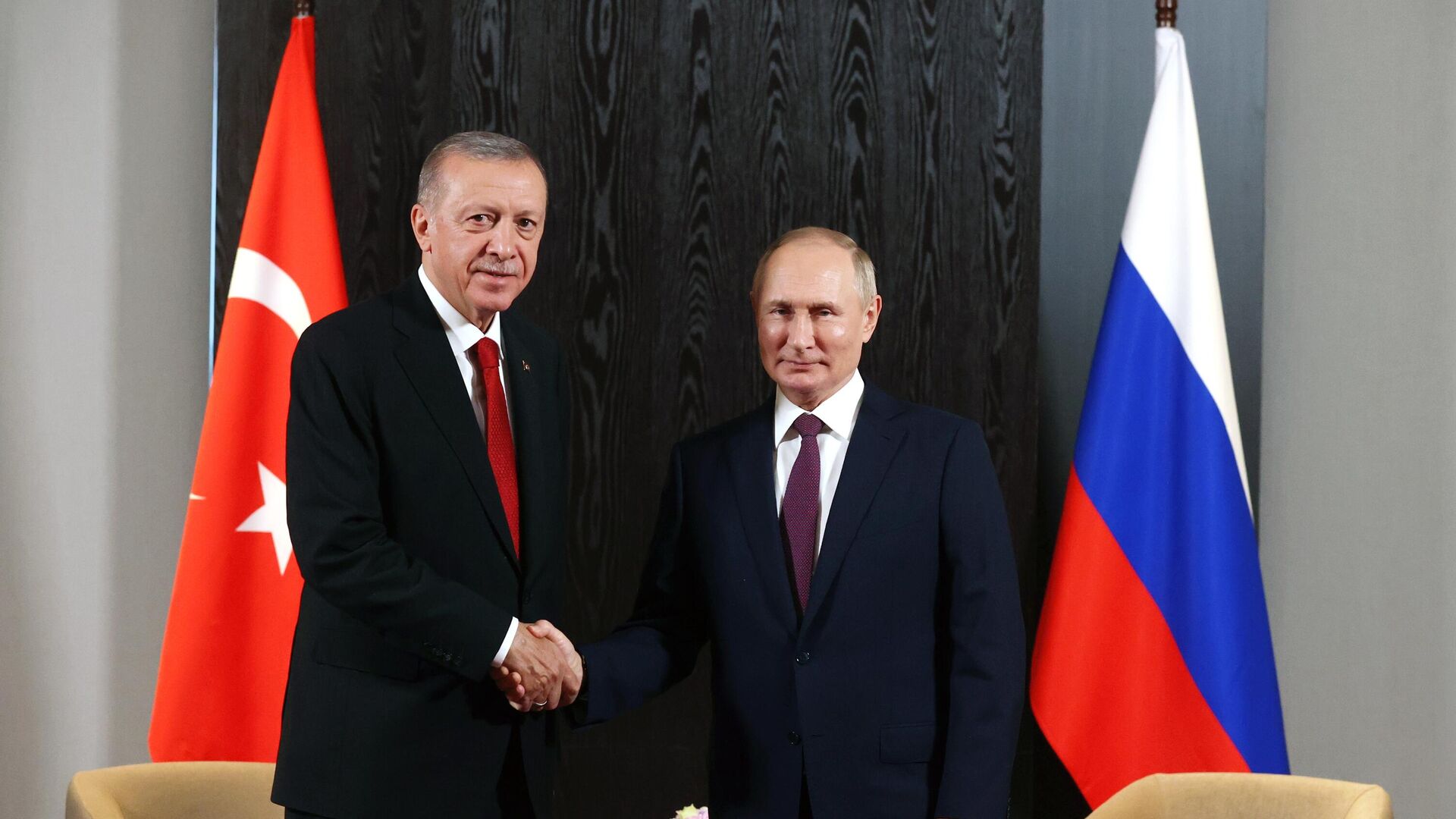 Президент РФ Владимир Путин и президент Турции Реджеп Тайип Эрдоган - РИА Новости, 1920, 11.10.2022