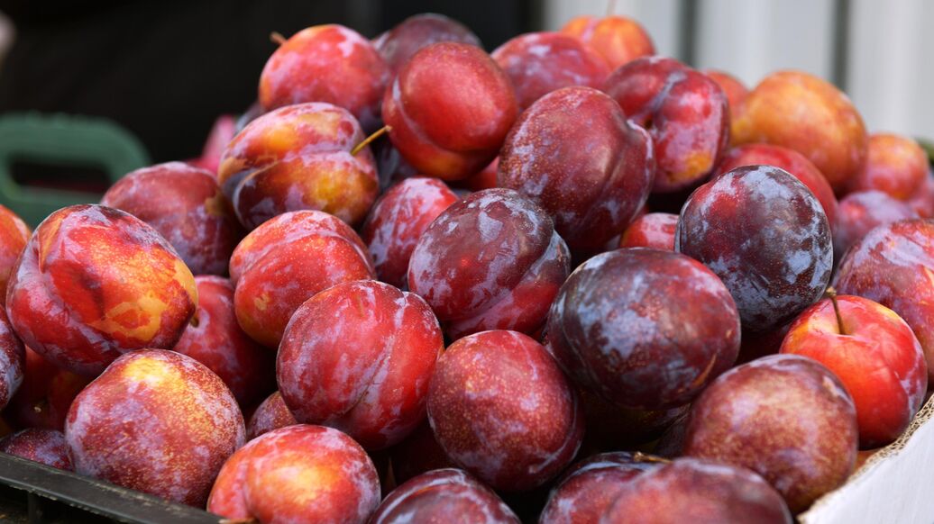 Врач рассказала о пользе и вреде сливы