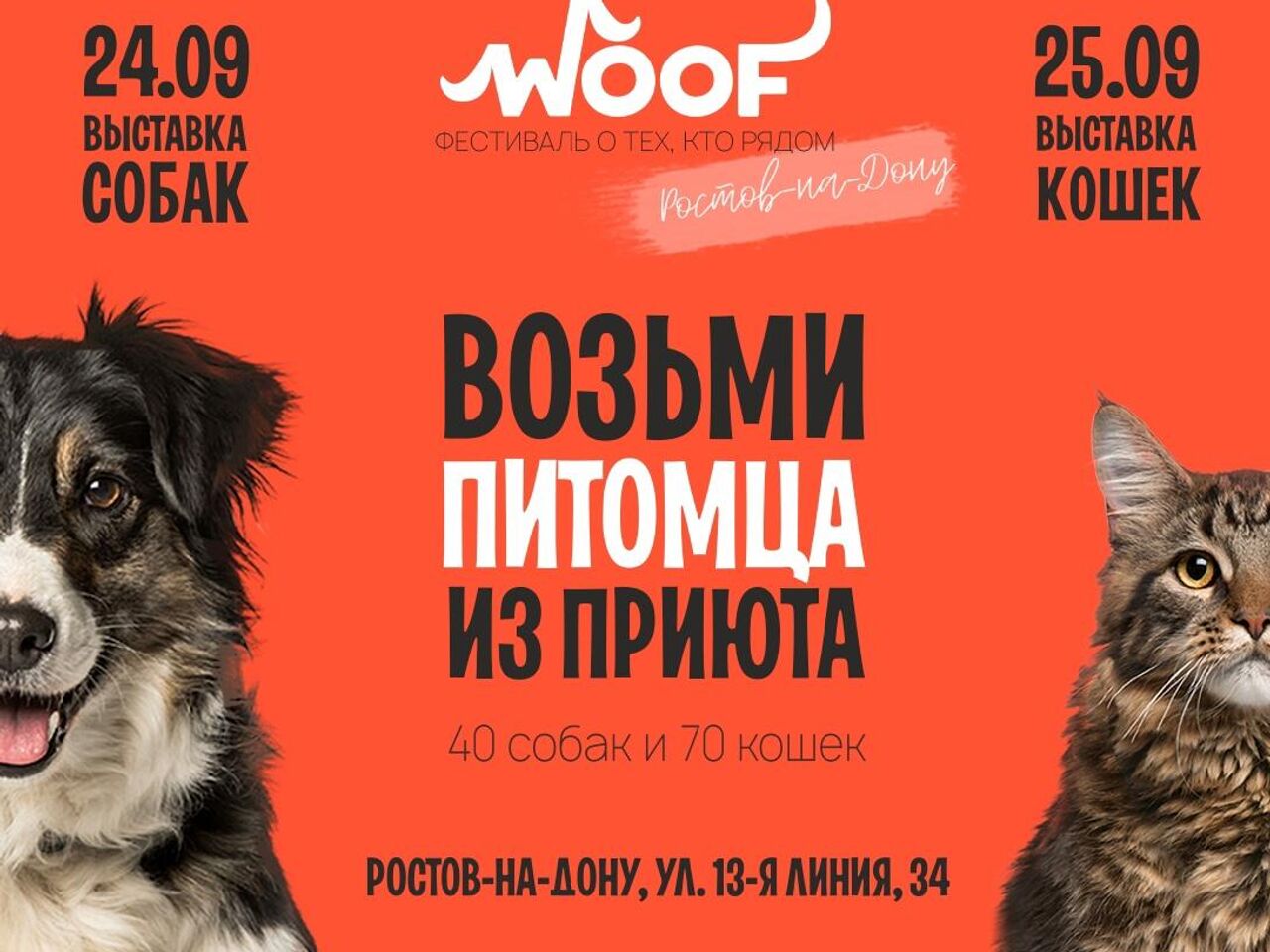 Фестиваль-выставка бездомных животных WOOF пройдет в Ростове-на-Дону - РИА  Новости, 19.09.2022