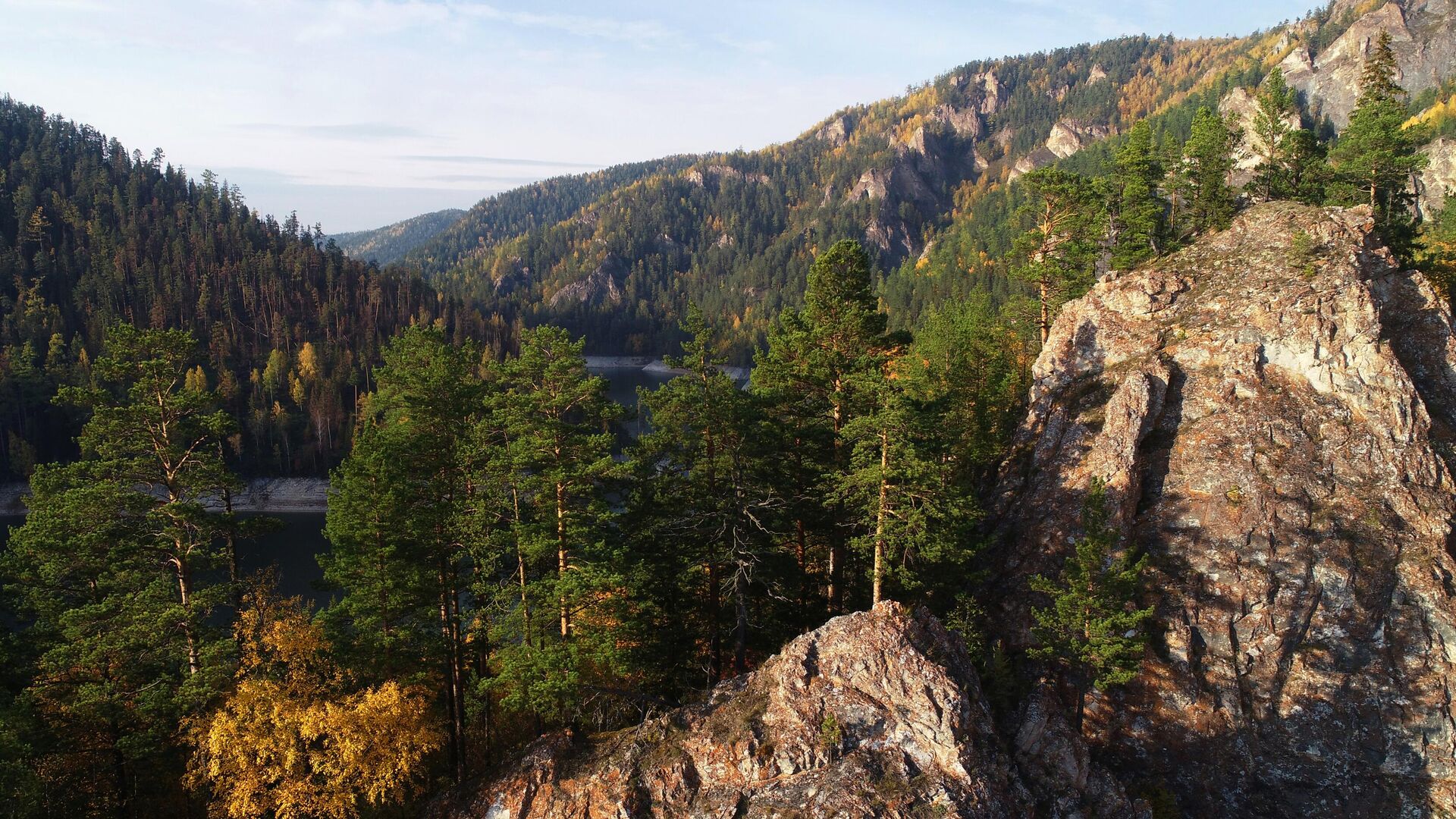 Ученые оценили потенциал лесных ресурсов Енисейской Сибири