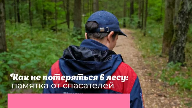 Как не потеряться в лесу: памятка от спасателей