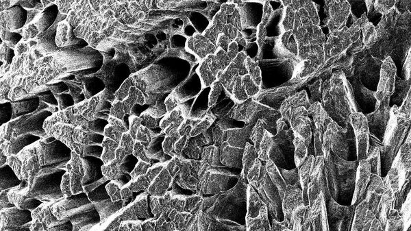 Фотография микроструктуры мясного сырья, полученные методом растровой электронной микроскопии