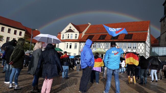 Митинг партии Альтернатива для Германии в Хальденслебене, восточная Германия