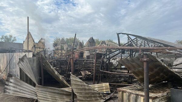 Последствия пожара в поселке Совхозный Белоярского городского округа Свердловской области