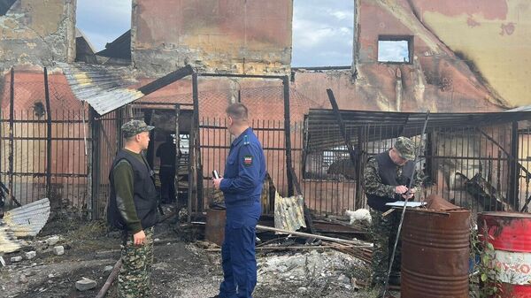 Последствия пожара в поселке Совхозный Белоярского городского округа Свердловской области