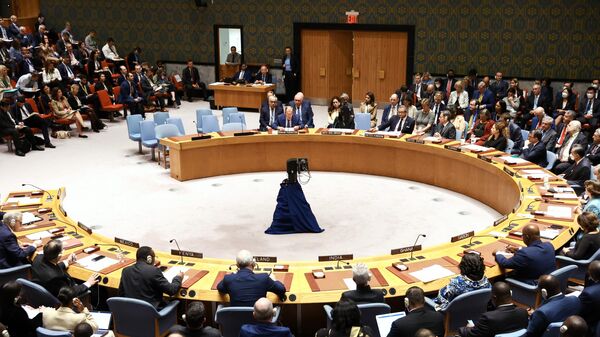 Заседание Совета Безопасности ООН в Нью-Йорке. Архивное фото