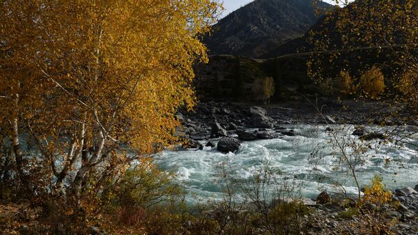 Река Катунь в Республике Алтай