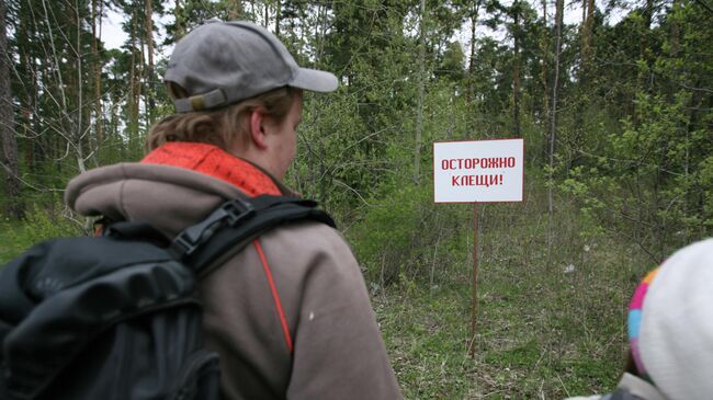 В Подмосковье более шести тысяч жителей обратились в больницы из-за клещей