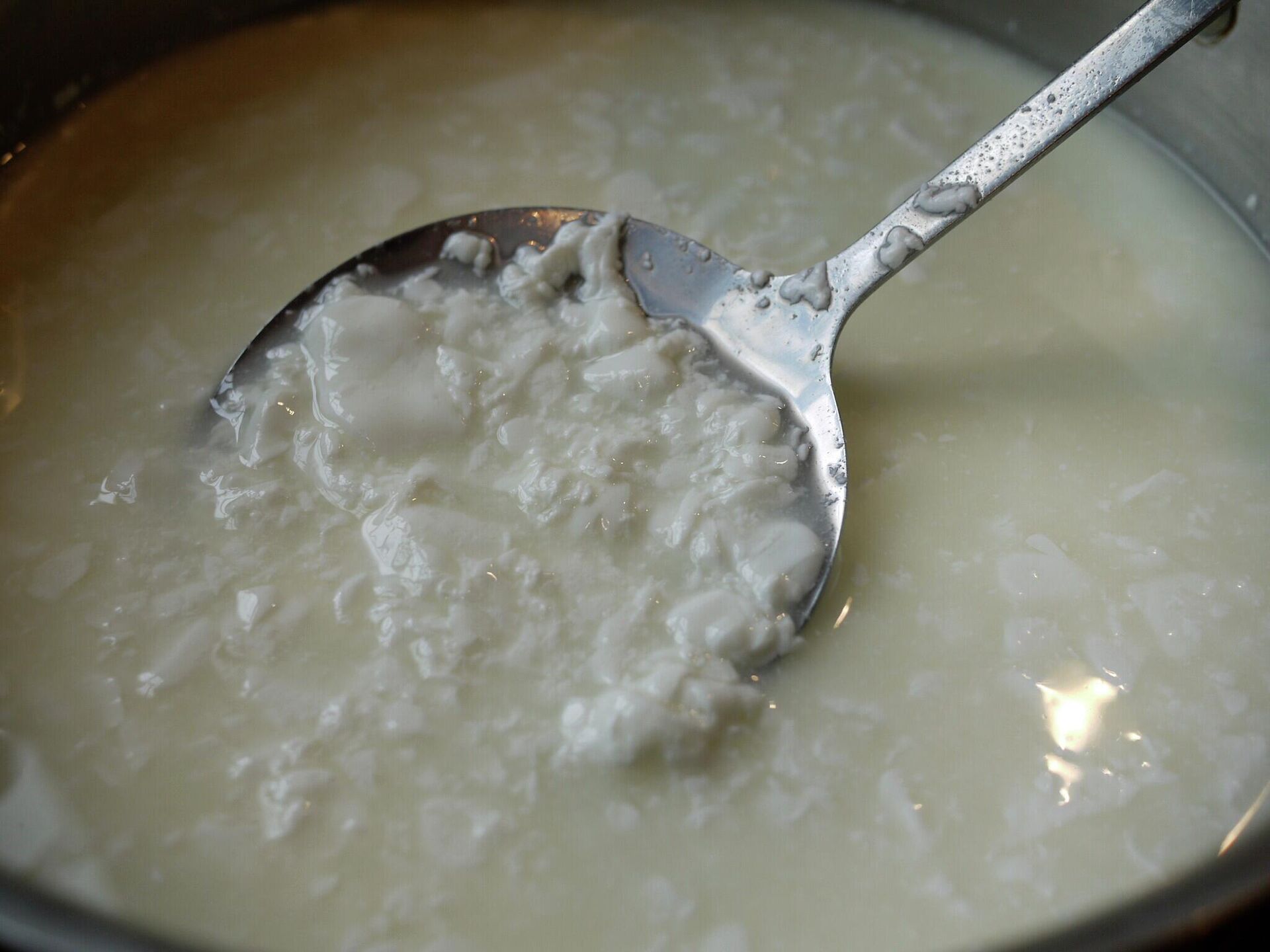 Как приготовить творог из молока дома: рецепт с видео и фото пошагово | Меню недели