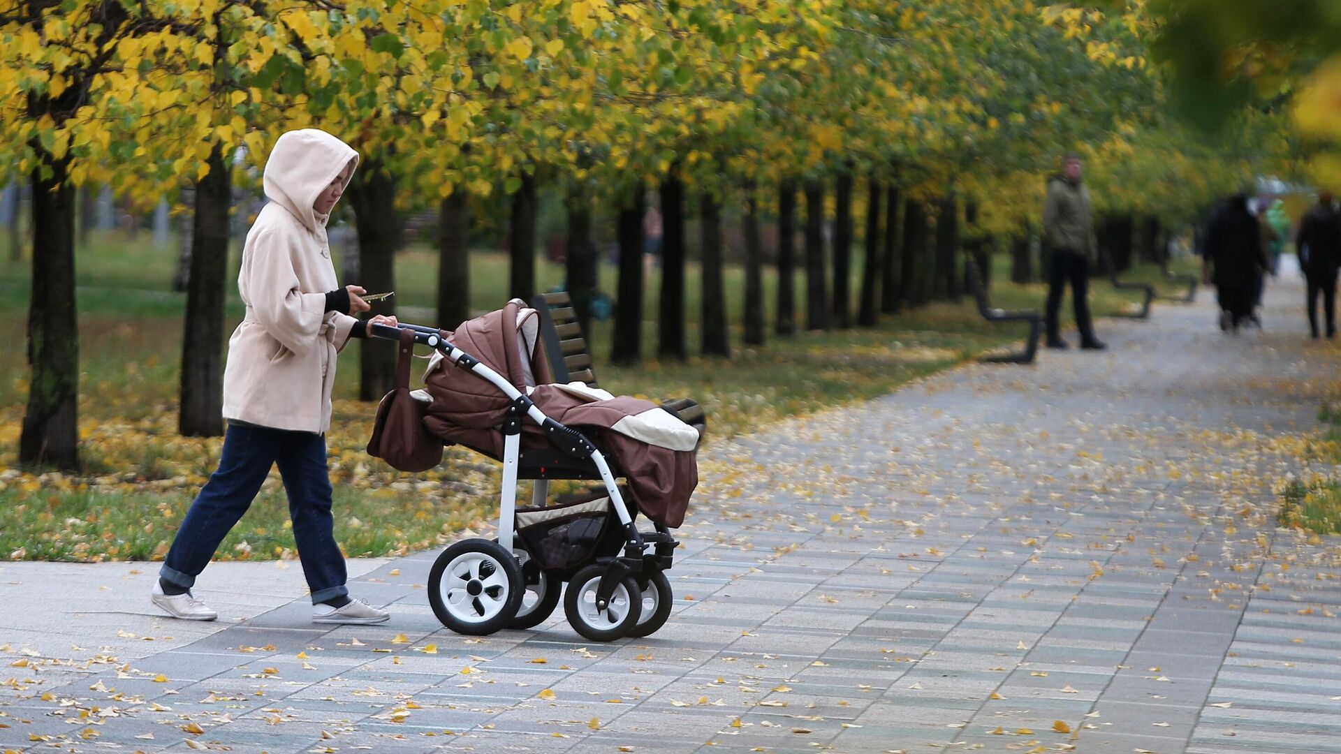 Женщина с коляской гуляет в Дюссельдорфском парке в Москве - РИА Новости, 1920, 01.11.2022