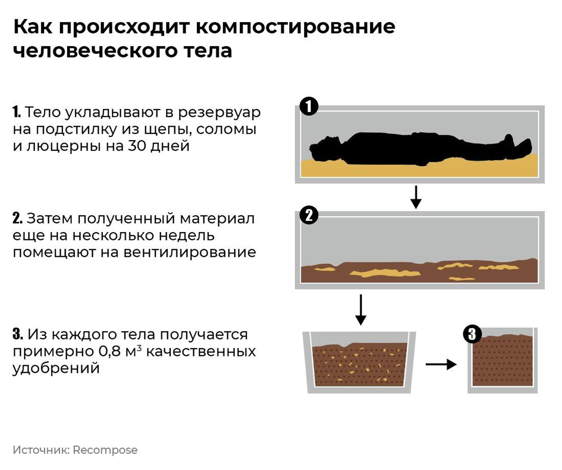 Ученые 17 месяцев наблюдали за трупом и сделали неожиданное открытие