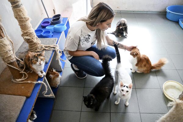 Сотрудница приюта для бездомных животных Пиф с питомцами на территории приюта  в Донецке