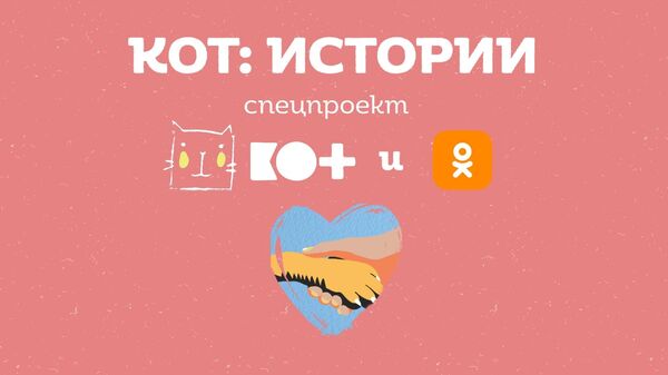 Проект КОТ и Одноклассники запускают мини-сериал о зооволонтерах