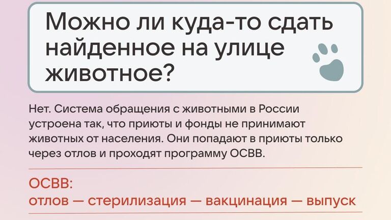 Ассоциация Благополучие животных и ВКонтакте при поддержке агентства Better запускают во Всемирный день животных совместную акцию #отвечаюзахвост