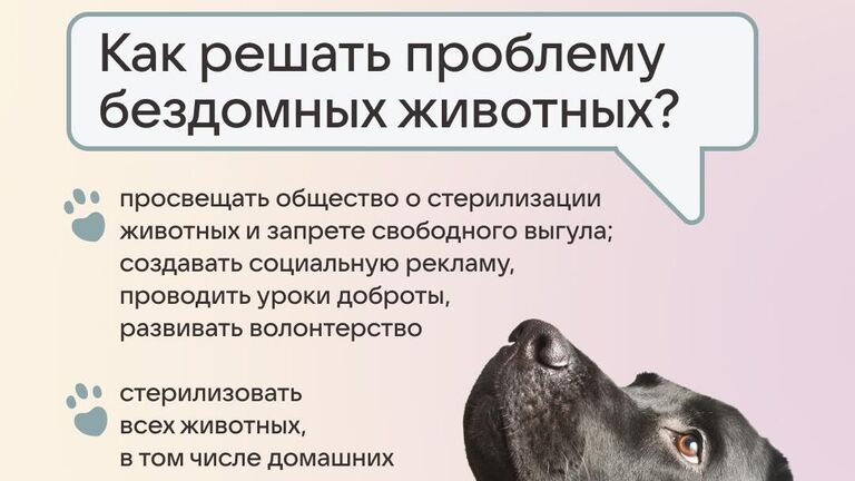 Ассоциация Благополучие животных и ВКонтакте при поддержке агентства Better запускают во Всемирный день животных совместную акцию #отвечаюзахвост