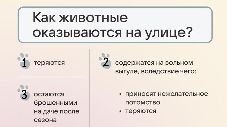 Ассоциация Благополучие животных и ВКонтакте при поддержке агентства Better запускают во Всемирный день животных совместную акцию #отвечаюзахвост