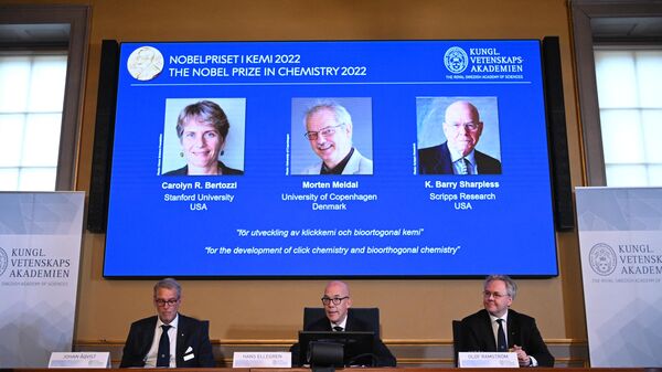 Члены Нобелевского комитета во время пресс-конференции, посвященной объявлению лауреатов Нобелевской премии по Химии 2022 года