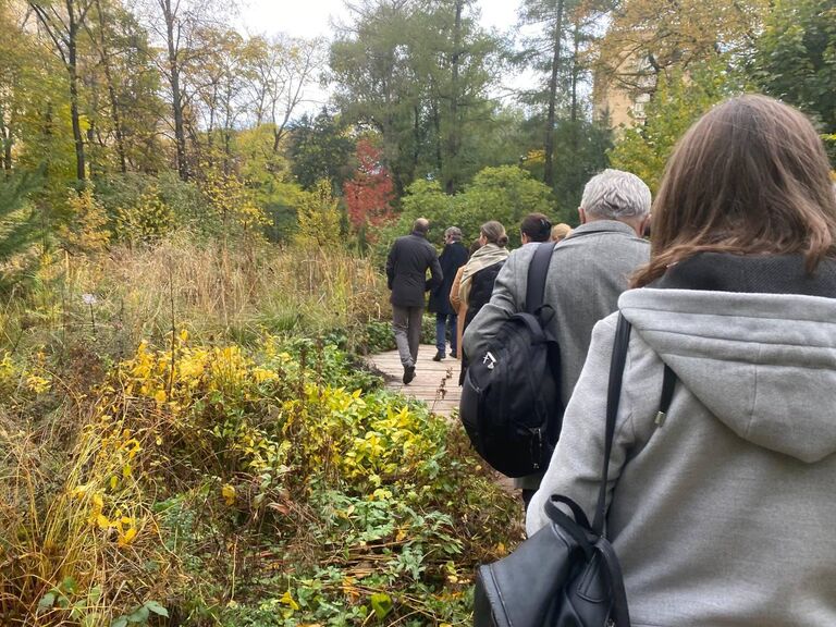 Проект RENATURE. Вернем природу в город