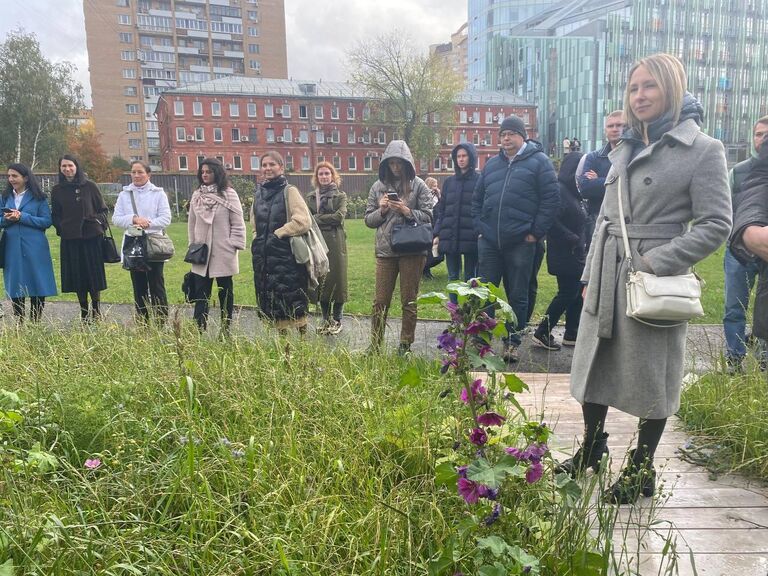 Проект RENATURE. Вернем природу в город