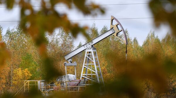 Нефтяная вышка-качалка компании Татнефть в Альметьевском районе в Татарстане