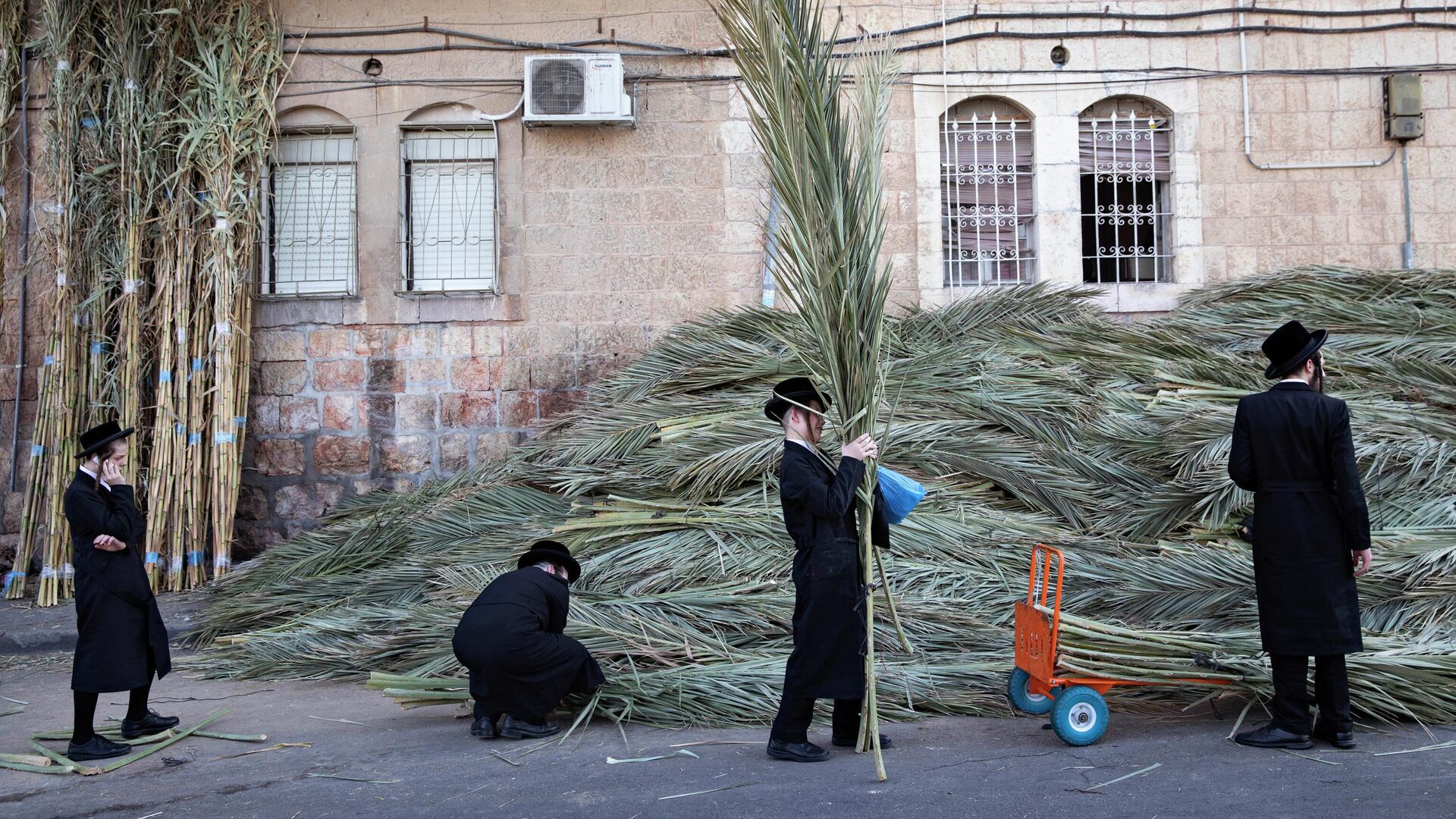 Жители Иерусалима покупают пальмовые ветки для строительства сукки в преддверии праздника Суккот - РИА Новости, 1920, 09.10.2022