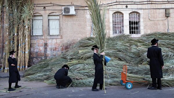 Жители Иерусалима покупают пальмовые ветки для строительства сукки в преддверии праздника Суккот