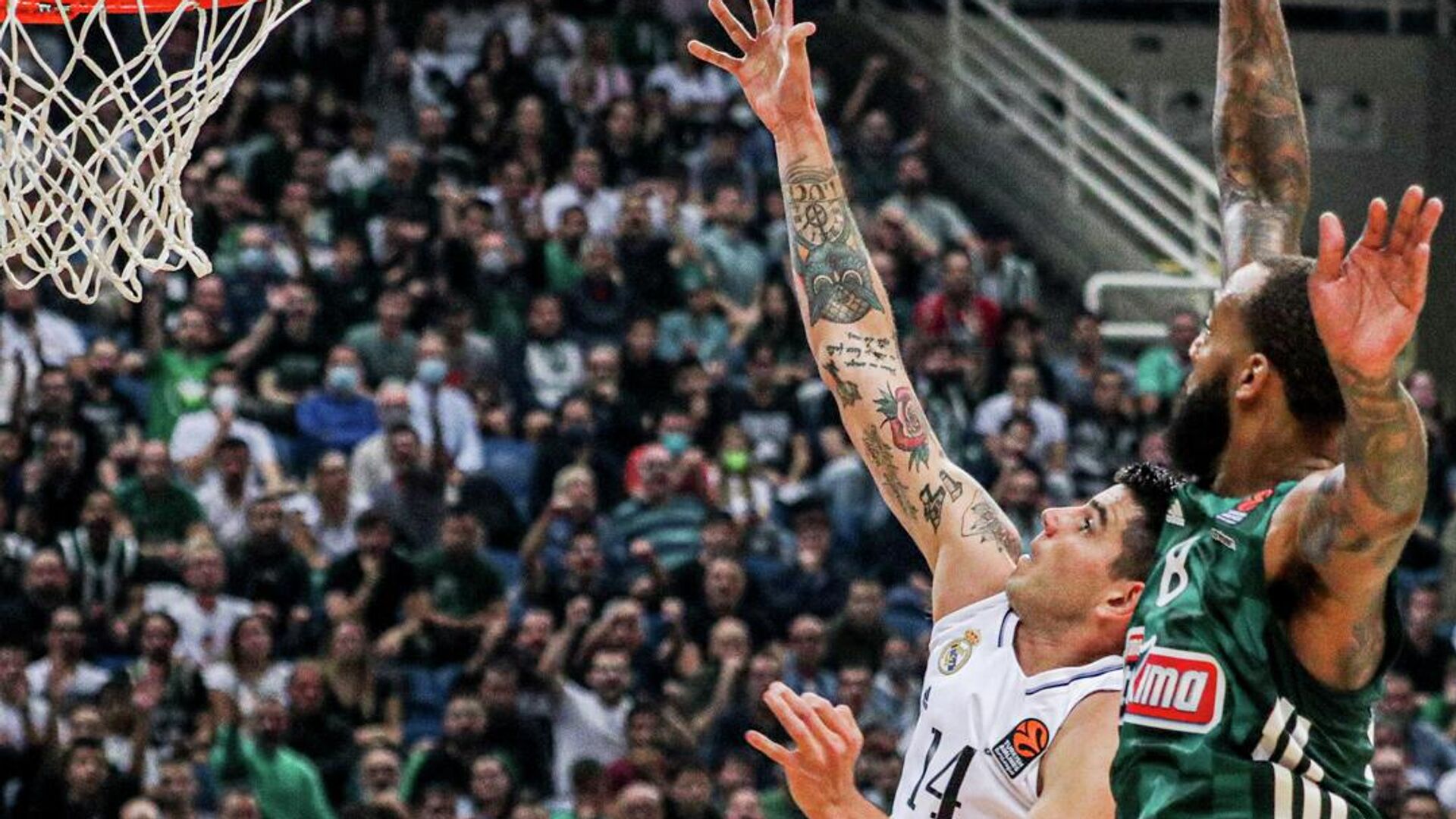 Баскетболисты Реала (в белом) и Панатинаикоса (в зеленом) - РИА Новости, 1920, 06.10.2022