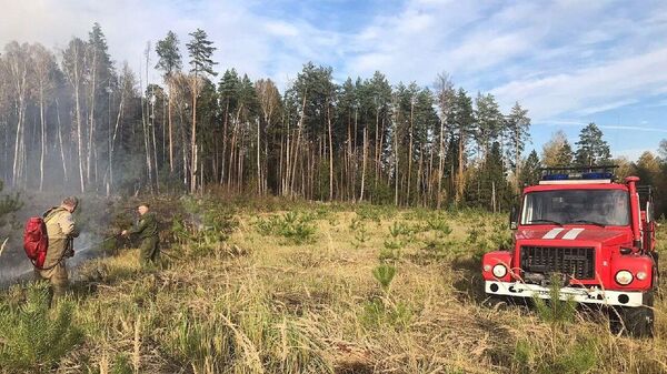 Тушение пожара в лесничестве Русский лес