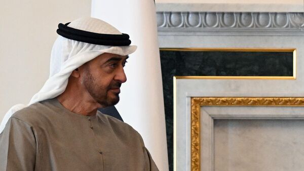 Президент Объединенных Арабских Эмиратов Мухаммед бен Заид Аль Нахайян во время встречи с президентом РФ Владимиром Путиным