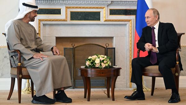 Президент РФ Владимир Путин и президент Объединенных Арабских Эмиратов Мухаммед бен Заид Аль Нахайян во время встречи