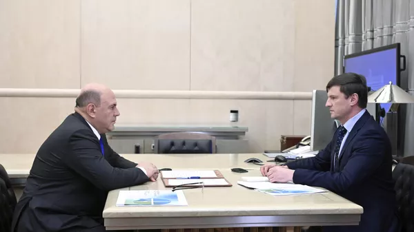 Премьер-министр РФ М. Мишустин встретился с главой Роскадастра В. Ждановым