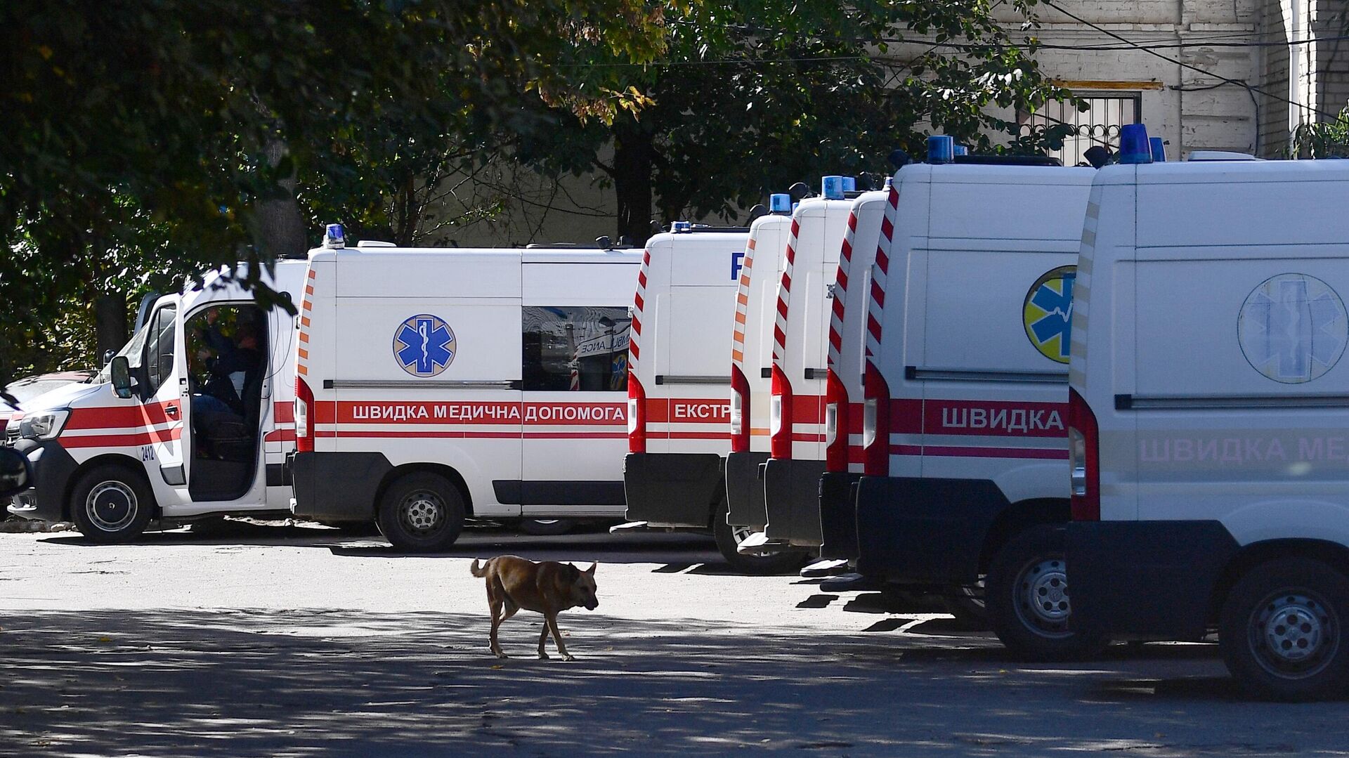 Автомобили скорой помощи на территории городской больницы №1 в Мелитополе - РИА Новости, 1920, 02.11.2022