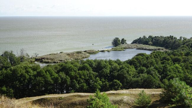 Вид на озеро Лебедь и Куршский залив со смотровой площадки