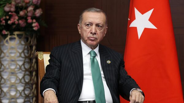 Эрдоган подтвердил Зеленскому готовность стать посредником с Россией