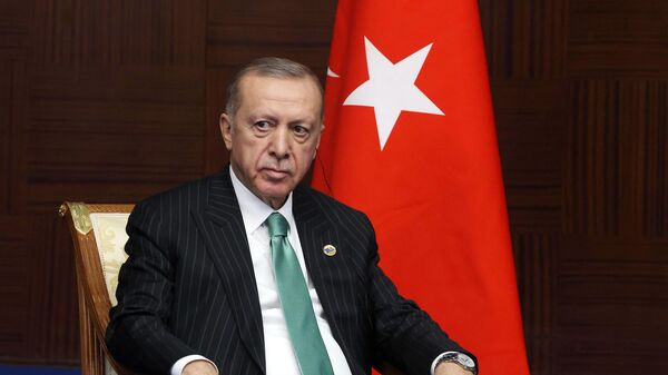 Эрдоган обсудит с правительством проект газового хаба, сообщил источник